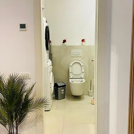 Cozy Apartment Timisoara