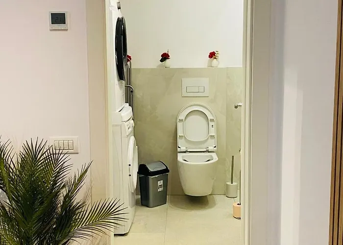 Cozy Апартаменты Тимишоара